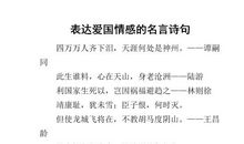 抒发爱国情怀的诗