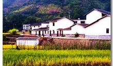 表达在乡村开心的句子