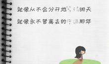 情感语录的点点滴滴