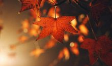 句句说到心坎上的精辟的句子