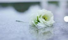 清明节祭奠亲人的句子