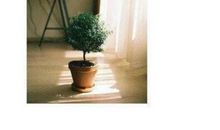 村上春树经典语录爱情