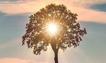 做梦中开心的句子