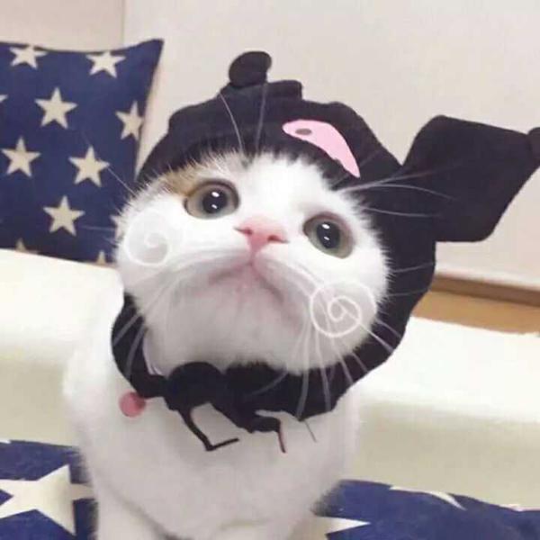 有很多有趣的句子
