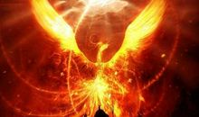 描写凤凰的优美句子