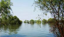 描写洞庭湖的名句