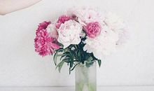 最能打动顾客的话