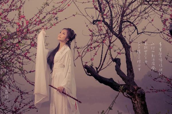 [关于相思树的句子]每个场景都会想到您