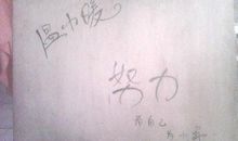 努力了就不后悔句子