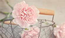 母亲节晒妈妈照片的心情说说