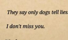 美丽的英文表白句子美丽的你配得上美丽的句子