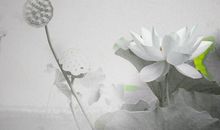 八字人生的感悟句子