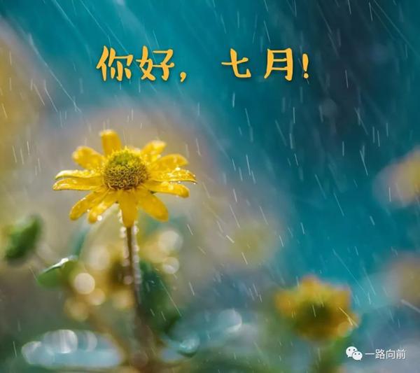  6月见
