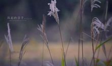 让对方后悔的句子