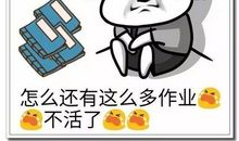 关于作业的搞笑说说