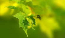 表达难受的心情句子