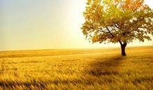 形容风景优美的诗句