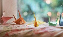 相聚是缘的句子