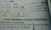 描写女孩性格的句子