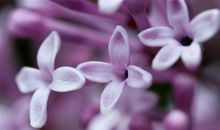 多希望自己是个孩子的说说