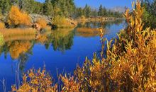 心情难过的句子