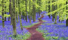 适合周四发的说说 周四美好心情说说