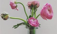 没有蛋糕没有礼物的生日说说