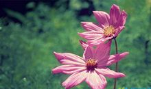 致敬最美逆行者的句子