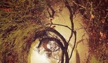 对兄弟失望感慨的句子说说心情