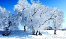 描写冬景场面的诗句