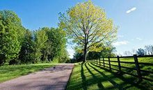 乡土亲情美的句子