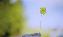 描写春天景色句子