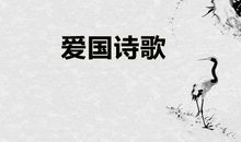 有关爱国精神的诗句