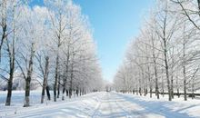 冬天写景的句子