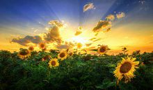 努力的句子 正能量