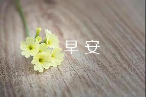 早晨的阳光将您唤醒