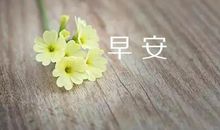 开心给朋友圈暖心的早安句子大全