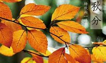 关于秋分的优美诗词汇总