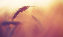 对一个人好失望的句子