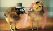 适合我太难了发朋友圈说说 太难了的说说朋友圈句子