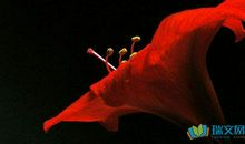 享受校园生活的朋友圈句子