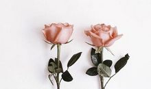 励志早安心语正能量