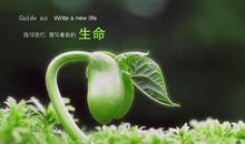 生命的人生格言
