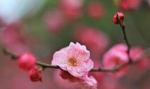 2020好听的个性签名古风