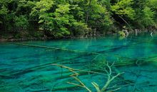 关于描写心情的句子有哪些