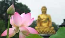 佛语教人心静的句子