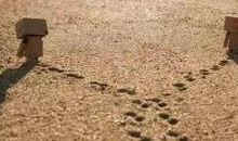 对于爱情失望的句子