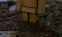 经历爱情的心酸句子