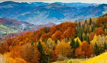 表达心情很无奈的句子