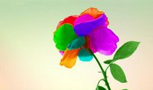 开心的一天的开心句子